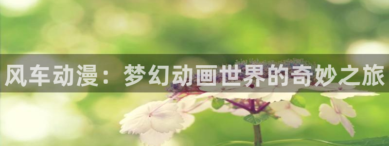 五一动漫下载网站